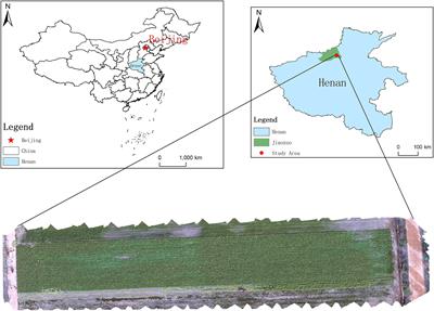 Enhancing sustainable Chinese cabbage production: a comparative analysis of multispectral image instance segmentation techniques